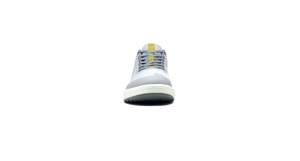 Velaasa Raptor: Grey and Gold display picture 1